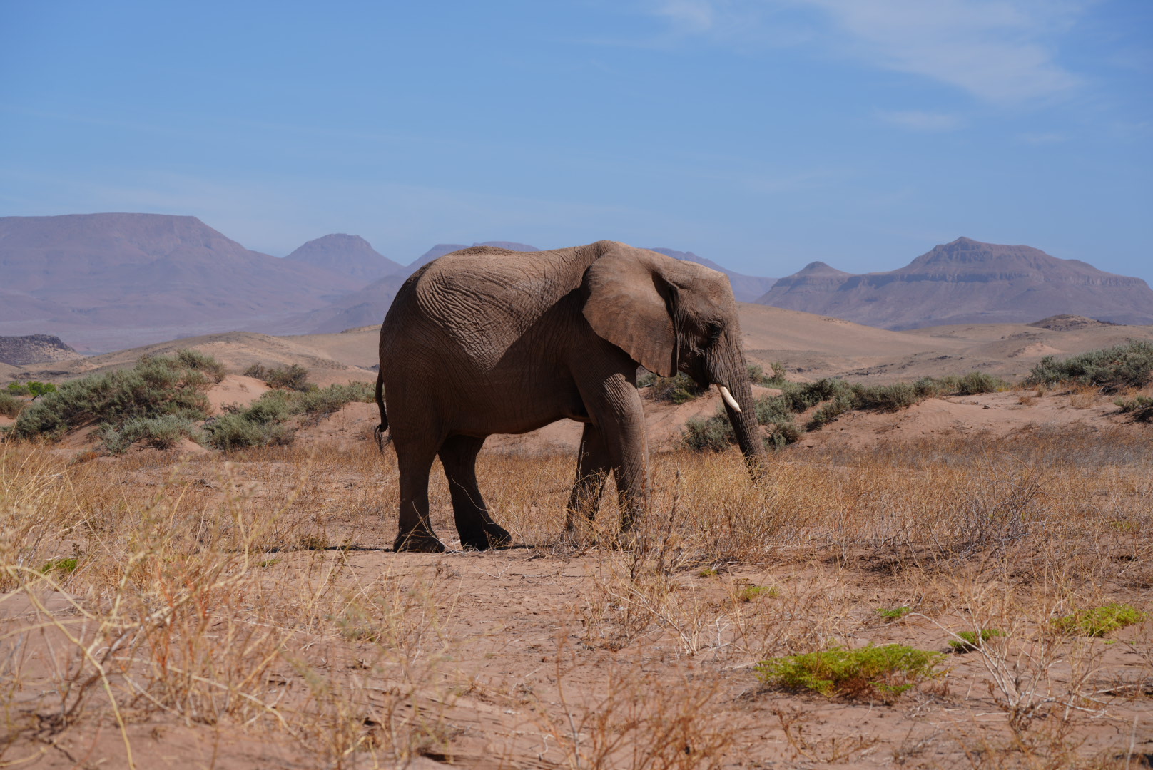 Namibie