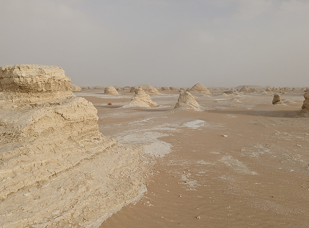Black & White Desert