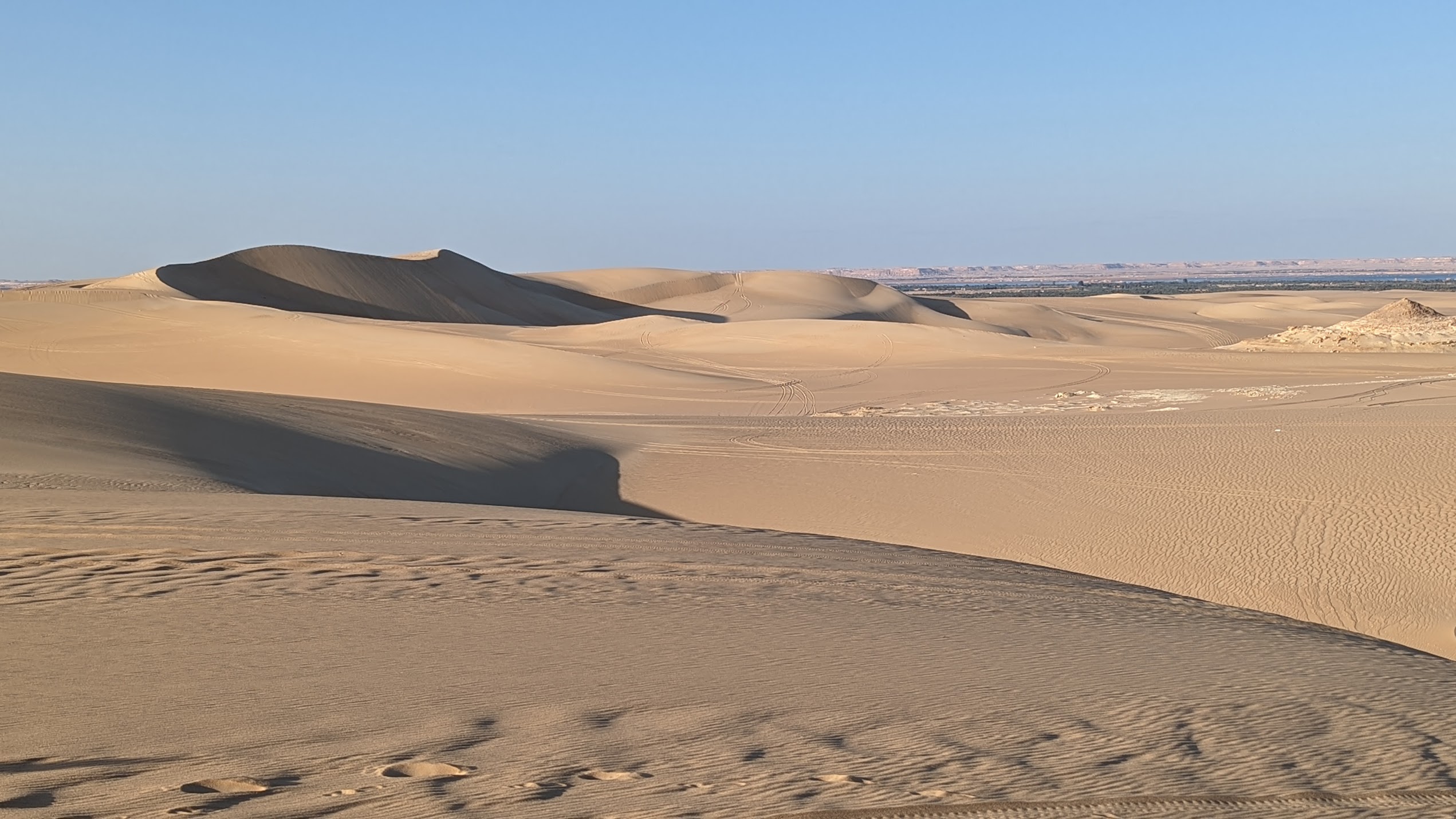 Bannière contacts Égypte