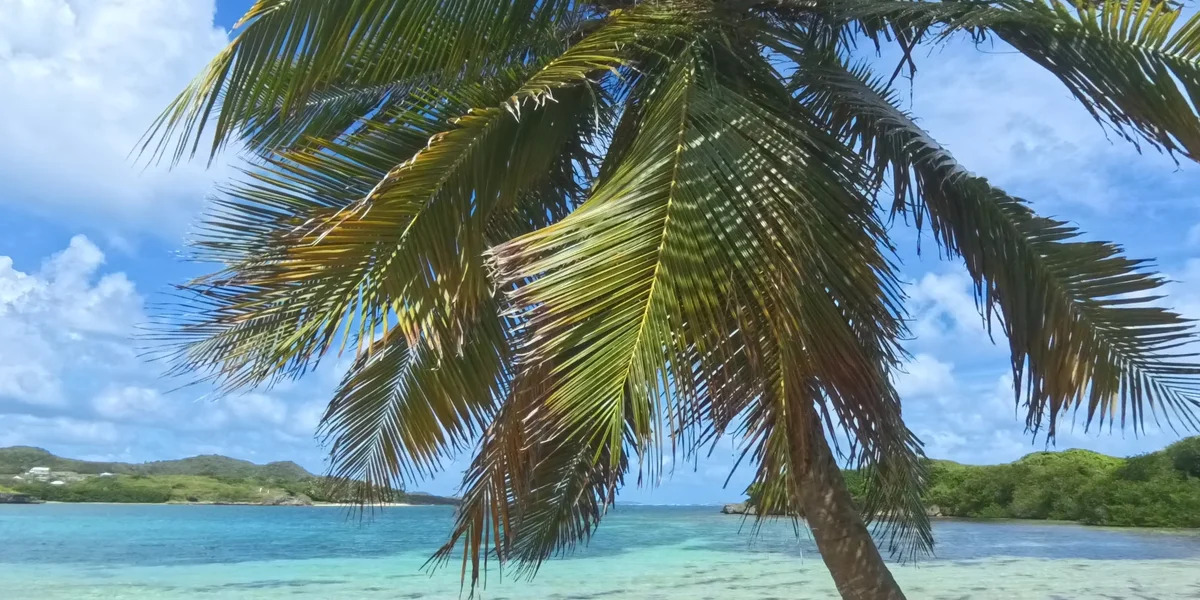 Martinique