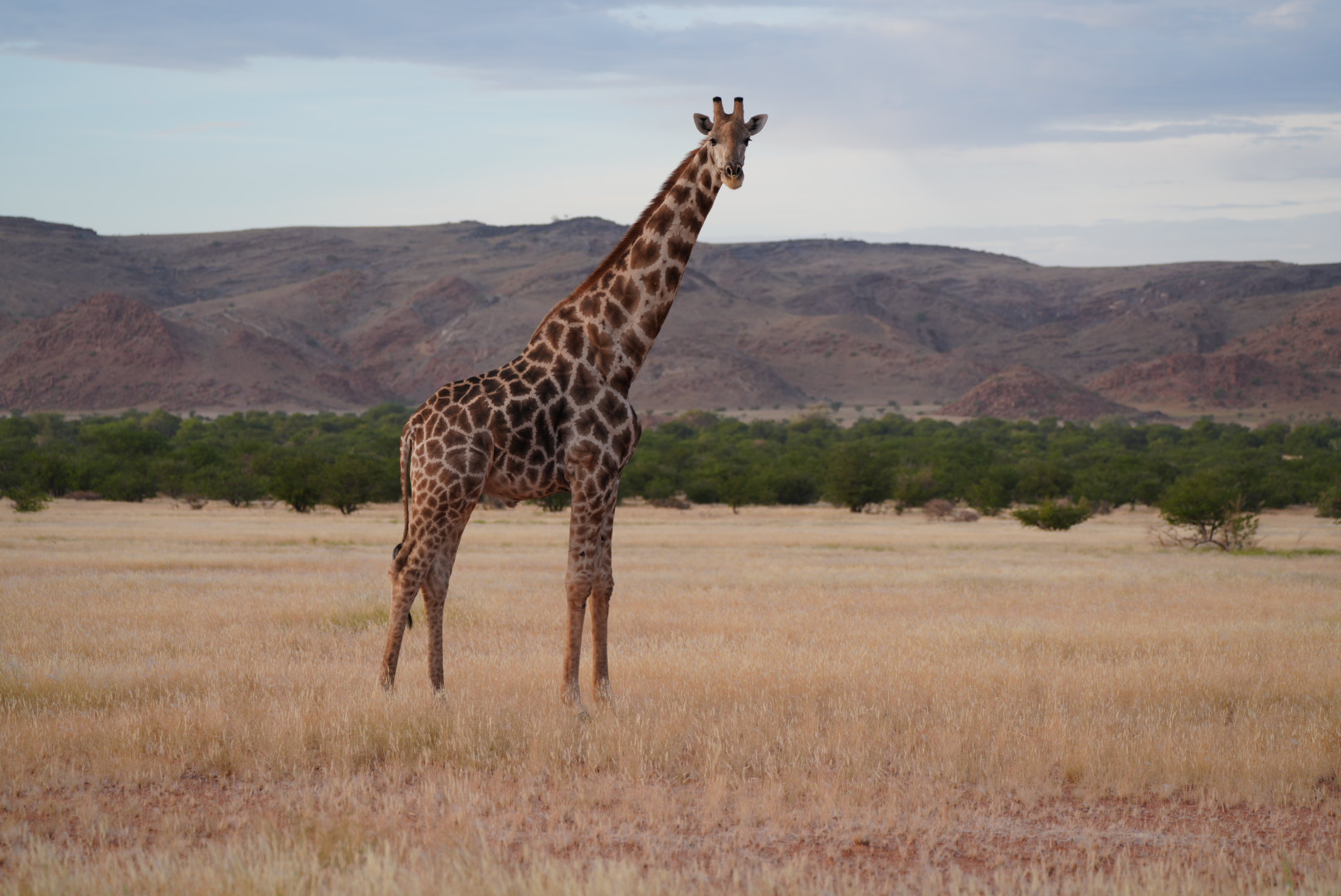 Activités et excursions en Namibie