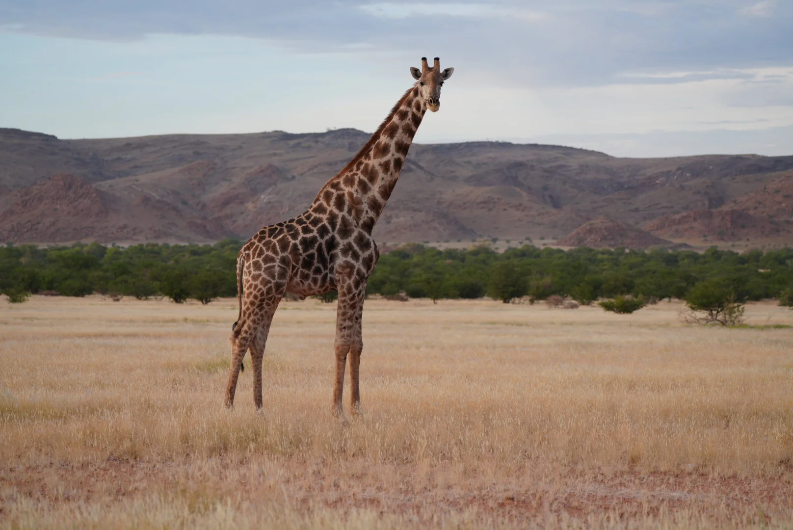 Namibie